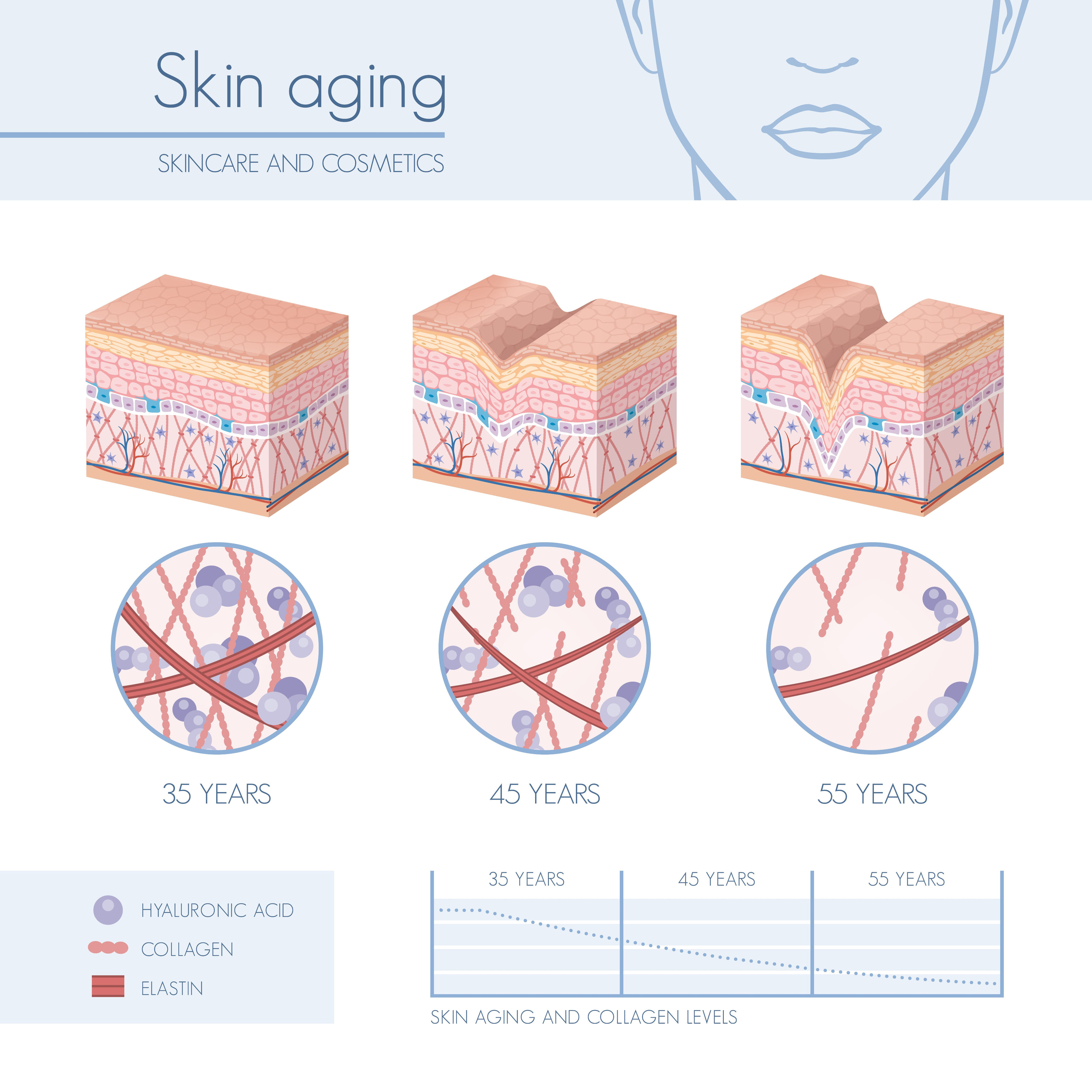 prevent aging and collagen breakdown 