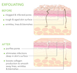 Advanced Exfoliating Cleanser Cleanser.